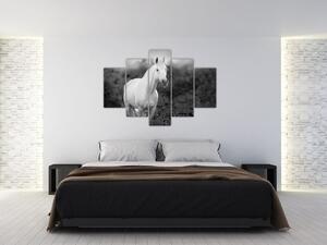 Egy fehér ló képe egy réten, fekete-fehér (150x105 cm)