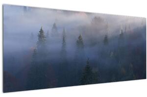 Kép - erdő a ködben, Carpathians, Ukraina (120x50 cm)