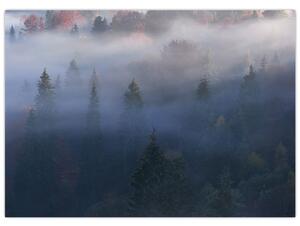 Kép - erdő a ködben, Carpathians, Ukraina (70x50 cm)