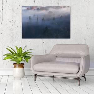 Kép - erdő a ködben, Carpathians, Ukraina (90x60 cm)