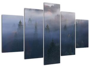 Kép - erdő a ködben, Carpathians, Ukraina (150x105 cm)
