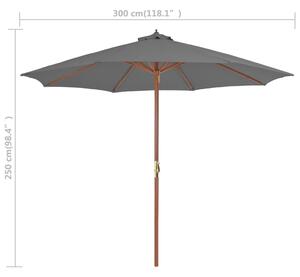 VidaXL antracitszürke kültéri napernyő farúddal, 300 cm átmérőjű