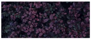 Sötétvörös levelek képe (120x50 cm)