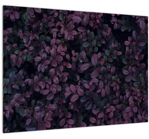 Sötétvörös levelek képe (70x50 cm)