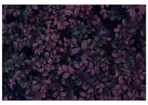 Sötétvörös levelek képe (90x60 cm)