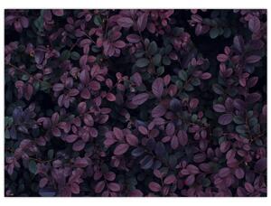 Sötétvörös levelek képe (70x50 cm)
