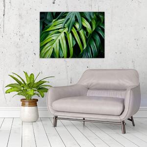 Kép - trópusi levelek (70x50 cm)