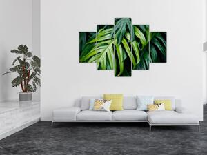 Kép - trópusi levelek (150x105 cm)
