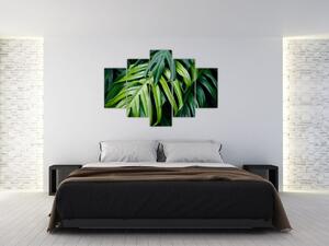 Kép - trópusi levelek (150x105 cm)