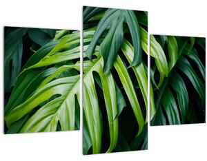 Kép - trópusi levelek (90x60 cm)