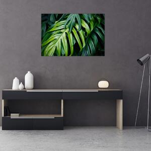 Kép - trópusi levelek (90x60 cm)