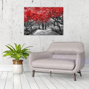 Kép - vörös fák,Central Park, New York (70x50 cm)