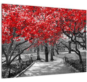 Kép - vörös fák,Central Park, New York (70x50 cm)