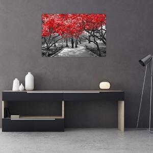 Kép - vörös fák,Central Park, New York (90x60 cm)