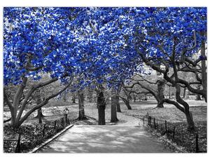 Kép - Kék fák, Central Park, New York (70x50 cm)