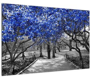 Kép - Kék fák, Central Park, New York (90x60 cm)