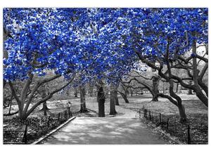 Kép - Kék fák, Central Park, New York (90x60 cm)