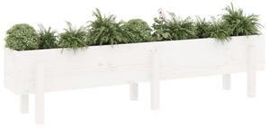 VidaXL fehér tömör fenyőfa kerti magaságyás 160 x 30 x 38 cm