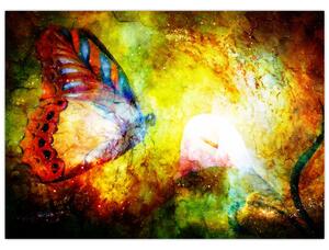 Kép - Kozmikus pillangó (70x50 cm)
