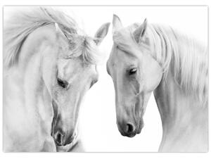 Fehér lovak képe (70x50 cm)