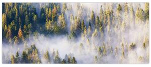 Fák képe a ködben (120x50 cm)