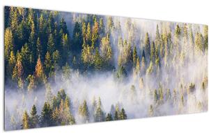 Fák képe a ködben (120x50 cm)