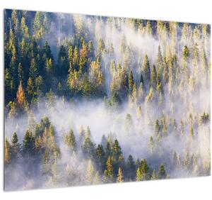 Fák képe a ködben (70x50 cm)
