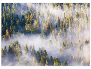 Fák képe a ködben (70x50 cm)