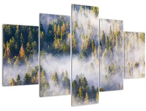 Fák képe a ködben (150x105 cm)