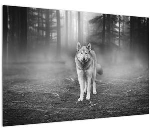 Kép - erdő őr, fekete-fehér (90x60 cm)