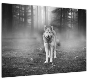 Kép - erdő őr, fekete-fehér (70x50 cm)