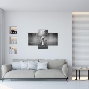 Kép - erdő őr, fekete-fehér (90x60 cm)