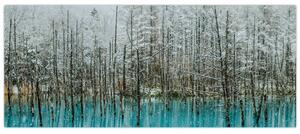 Kép - Türkiz tó, Biei, Japán (120x50 cm)