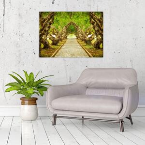 Kép - Plumeria élő alagútja (70x50 cm)