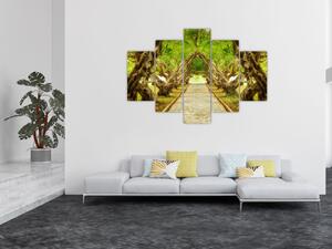 Kép - Plumeria élő alagútja (150x105 cm)