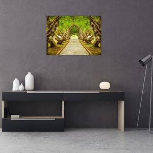 Kép - Plumeria élő alagútja (70x50 cm)