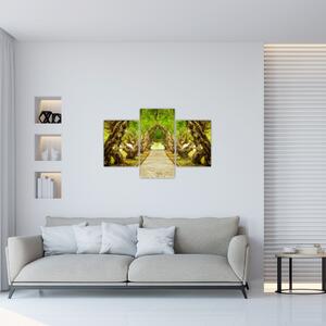 Kép - Plumeria élő alagútja (90x60 cm)