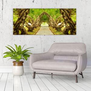 Kép - Plumeria élő alagútja (120x50 cm)