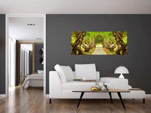 Kép - Plumeria élő alagútja (120x50 cm)