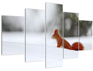 Egy mókus képe (150x105 cm)