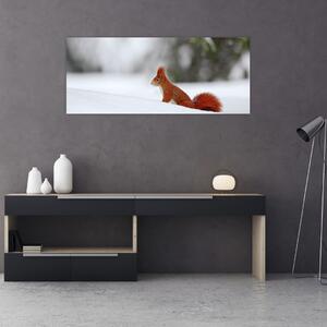 Egy mókus képe (120x50 cm)