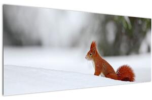 Egy mókus képe (120x50 cm)