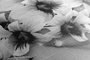 Kép fekete fehér virágok absztrakt háttérrel