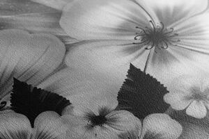 Kép virág fantázia fekete fehérben