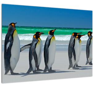Kép - A Királyi pingvinek csoportja (70x50 cm)