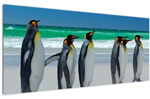 Kép - A Királyi pingvinek csoportja (120x50 cm)
