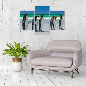 Kép - A Királyi pingvinek csoportja (90x60 cm)