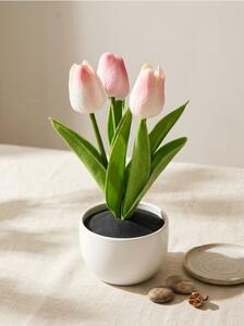 Sinsay - Dekoratív tulipánok cserépben - rózsaszín