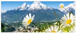 Kép - tavasz az Alpokban (120x50 cm)