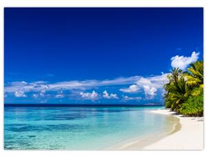 Egy trópusi tengerpart képe (70x50 cm)